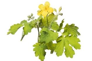 Gelarex sisaldab vereurmarohi